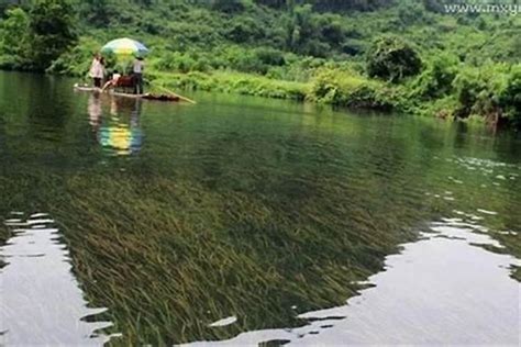 夢到河|梦见河水是什么意思预兆